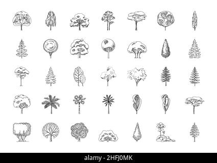 Big Icon Set aus verschiedenen Baumsilhouetten. Stock Vektor