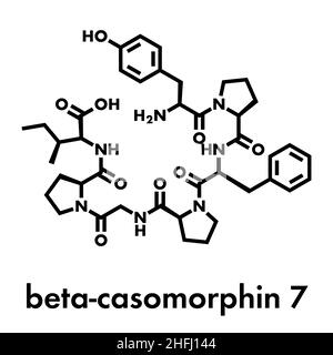 Beta-casomorphin Peptid 7 Molekül. Aufschlüsselung Produkt von Kasein, die eine Rolle in der menschlichen Krankheiten spielen können. Skelettmuskulatur Formel. Stock Vektor