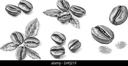 Set Kaffeebohnen Hand Zeichnung Skizze Gravur Illustration Stil vecot Stock Vektor