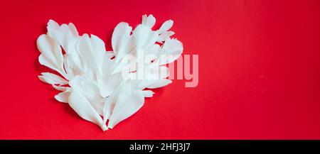 Herz aus weißen Blütenblättern auf rotem Hintergrund. Valentinstag-Konzept. Design für kreative Grußkarten. Kopierbereich, Bannerformat Stockfoto