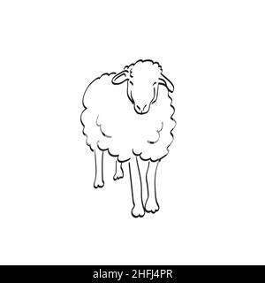 Volle Länge der Schafe in der Vorderansicht Illustration Vektor Hand gezeichnet isoliert auf weißem Hintergrund Linie Kunst Stock Vektor