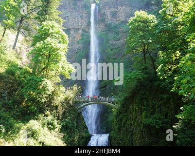 Die Multnomah Falls liegen am Multnomah Creek in der Columbia River Gorge, die im Sommer 2017 aufgenommen wurde. Stockfoto