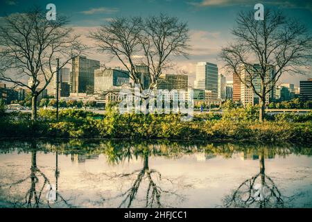 Charles River Esplanade in Boston mit Spiegelung von Bäumen im Wasser Stockfoto