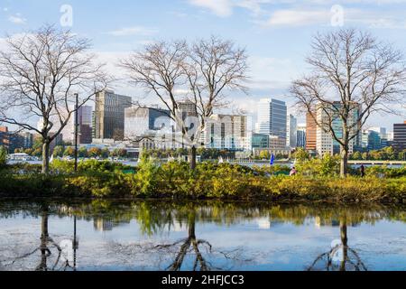 Charles River Esplanade in Boston mit Spiegelung von Bäumen im Wasser Stockfoto