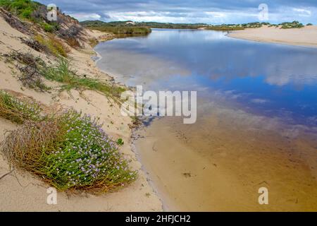 Die Mündung des Hill River in der Jurien Bay Stockfoto