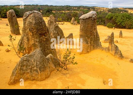 Die Pinnacles, Nambung National Park Stockfoto