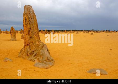Die Pinnacles, Nambung National Park Stockfoto