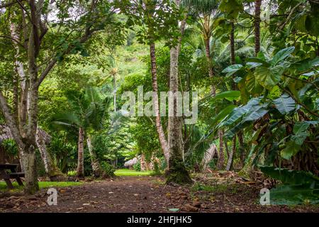 Malerische tropische Landschaft in der Nähe des Wailua Flusses und des Kamokila Hawaiian Village auf der Kauai Insel, Hawaii Stockfoto