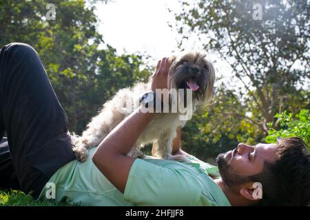 Junger Mann, der im Park mit seinem Hund fetch spielt Stockfoto