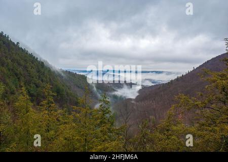 Valley Nebel - eine winterliche Landschaft in den Taconic Mountains, vom Gipfel auf den Bash Bish Falls in Richtung Copake Falls. Stockfoto