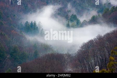 Valley Nebel - eine winterliche Landschaft in den Taconic Mountains, vom Gipfel auf den Bash Bish Falls in Richtung Copake Falls. Stockfoto