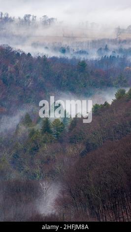 Valley Nebel - eine winterliche Landschaft in den Taconic Mountains, vom Gipfel auf den Bash Bish Falls in Richtung Copake Falls. Stockfoto