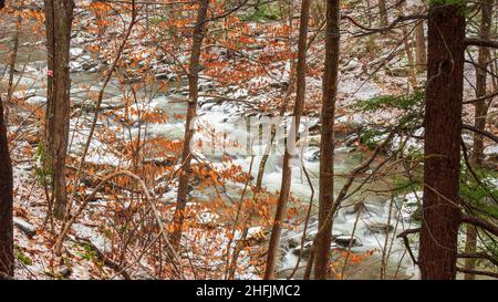 Winterliche Landschaft eines schnell fließenden Baches durch einen Mischwald, flussabwärts der Bash Bish Falls. Bash Bish Brook, Taconic State Park, Copake Falls, NY Stockfoto