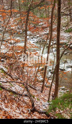 Winterliche Landschaft eines schnell fließenden Baches durch einen Mischwald, flussabwärts der Bash Bish Falls. Bash Bish Brook, Taconic State Park, Copake Falls, NY Stockfoto