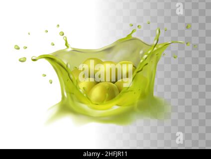 3D realistisches Vektorsymbol. Ölspritzer. Grüne Oliven. Stock Vektor