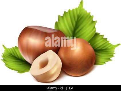 3D realistisches Vektorsymbol. Haselnuss geschält, in zwei Hälften und grünen Haselnussblättern gehackt. Isoliert auf weißem Hintergrund. Stock Vektor