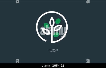 Ein Linienkunst-Icon-Logo eines Olivenbaums Stock Vektor