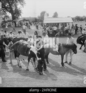 Laing Sports Ground, Rowley Lane, Elstree, Barnett, London, 14/06/1969. Ein Gala-Tag auf dem Laing Sports Ground in Elstree, bei dem im Vordergrund Ponyreiten für Kinder mit Ständen und Menschenmengen im Hintergrund gezeigt werden. Am 14th. Juni 1969 wurde von Laing auf dem Sportplatz in Laing ein Gala-Tag als Ersatz für den jährlichen Sporttag veranstaltet. Sportveranstaltungen wurden vom Sports Club abgehalten, zu denen Hockey-, Tennis-, Boule- und Fußballturniere gehörten. Ein traditionelles englisches Fete-Programm beinhaltete Kokosnussbären, Bingo, Ponyreiten, Catering und ein Bierzelt, Zuckerwatte und Kreisverkehre. Der Tag endete mit einem Schönheitswettbewerb, p Stockfoto