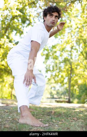 Junger Mann, der traditionelle chinesische Tai Chi praktiziert Stockfoto