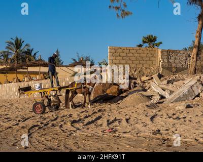 Nianing, Senegal - Jan, 2019: Senegalesischer Junge reitet auf einem Wagen mit weißem Pferd am Strand, ein beliebter Transportweg in Afrika Stockfoto