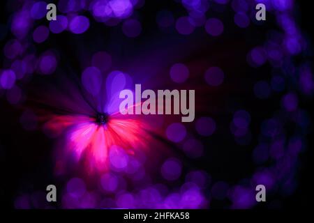 Abstrakter violetter Hintergrund in Form einer Blume und verschwommene Flecken. Stockfoto