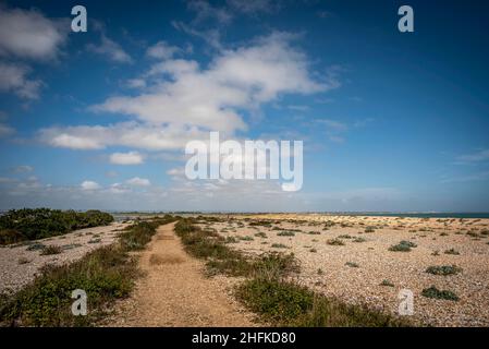 Der Strand auf der Selsey-Seite von Pagham Harbour, West Sussex, Großbritannien Stockfoto