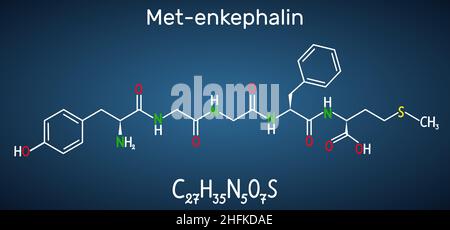 Met-Enkepalin-Molekül. Es handelt sich um endogenes Opioid-Peptid. Strukturelle chemische Formel auf dem dunkelblauen Hintergrund. Vektorgrafik Stock Vektor