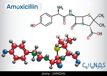 Amoxicillin-Medikamentenmolekül. Es ist ein Beta-Lactam-Antibiotikum. Strukturelle chemische Formel und Molekülmodell. Vektorgrafik Stock Vektor