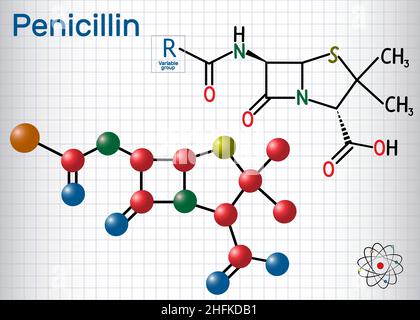 Allgemeine Formel des Penicillin (PCN)-Moleküls. Es ist eine Gruppe von Antibiotika. Blatt Papier in einem Käfig. Strukturelle chemische Formel und Molekülmodell. Stock Vektor