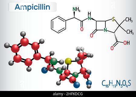 Ampicillin-Medikamentenmolekül. Es ist ein Beta-Lactam-Antibiotikum. Strukturelle chemische Formel und Molekülmodell. Vektorgrafik Stock Vektor