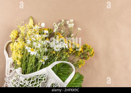 Feldkräuter und Blumen in Öko-Beutel auf beigem Hintergrund, umweltfreundliches Konzept. Draufsicht Kopierbereich. Stockfoto