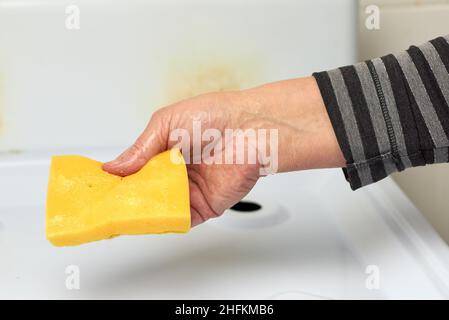 Eine Frauenhand in einem gestreiften Ärmel hält einen feuchten gelben Spülschwamm, um den Gasherd zu waschen Stockfoto