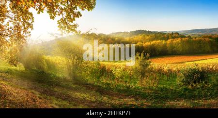 Landschaftlich reizvolle Landschaft im Herbst mit Weinbergen, Hügeln, strahlend blauem Himmel und Sonnenstrahlen Stockfoto