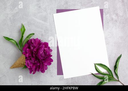 Leeres Blatt Papier und eine Pfingstrose in einem Waffelbecher auf einem Betongrund. Leer für eine Grußkarte oder Einladung. Herzlichen Glückwunsch zum holi Stockfoto