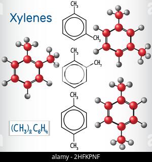 Meta-, ortho-, para-Xylol-Isomere. Strukturelle chemische Formel und Modell. Vektorgrafik Stock Vektor