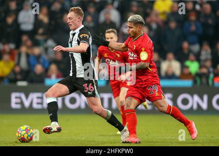 Sean Longstaff von Newcastle United und Cucho Hernandez und Watford - Newcastle United / Watford, Premier League, St James' Park, Newcastle upon Tyne, Großbritannien - 15th. Januar 2022 nur zur redaktionellen Verwendung - es gelten die Einschränkungen von DataCo Stockfoto