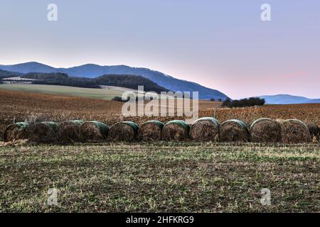 Ländliche landwirtschaftliche Landschaft in der Dämmerung. Feld mit Strohballen im frühen Winter. Farbenfroher Himmel. Natur Hintergrund, Tapete. Chocholna, Slowakei. Stockfoto
