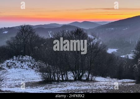 Winter neblige Berglandschaft bei Sonnenuntergang. Mit schönem bunten Himmel in rosa-orange. Wald im Vordergrund. Naturtapete. Vrsatec, Slowakei. Stockfoto