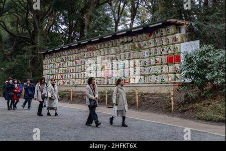 Ein Bild der Sake-Fässer auf dem Pfad, der zum Meiji Jingu-Schrein im Yoyogi Park führt. Stockfoto