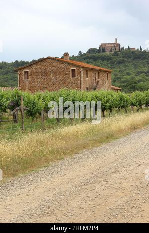 Die typischen staubigen Schotterstraßen in der Toskana in Italien mit einer schönen Natur und Landschaft rund um und alte Häuser herum. Stockfoto