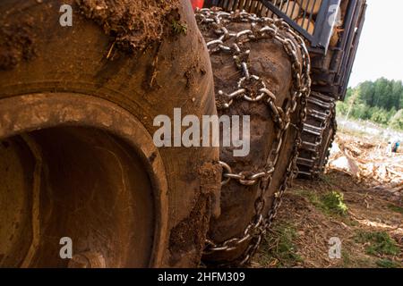 Die Details der Räder und Reifen des landwirtschaftlichen Fahrzeugs. Ausgestattet mit Reifenketten zum Fahren im Schlamm. Stockfoto