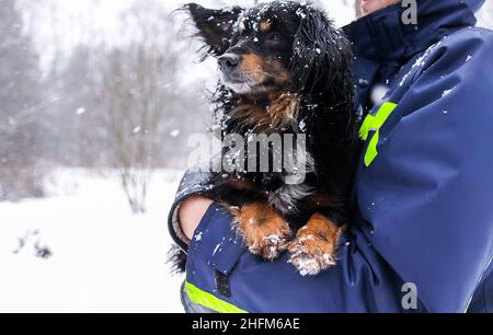 Niedliche schwarz verängstigten Hund sitzt auf den Händen des Mannes in Schnee Winterpark Stockfoto