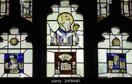 Mittelalterliche Buntglasfenster, 15th Cenrury-Rückstelltafeln; St. John the Baptist Church, Stamford, Lincolnshire Stockfoto