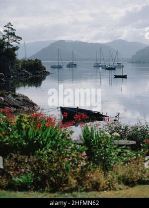 Verankerte Yachten in der Sommer-Mikroklima-Gartenlandschaft von Plockton & Loch Carron in Lochalsh, Wester Ross, West Highlands Scotland UK Stockfoto