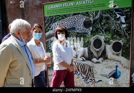 Mauro Scrobogna /LaPresse 10. Juli 2020&#xa0; Rom, Italien News Biopark - Wiegen der Geburt von zwei asiatischen Löwen im Bild: Der Präsident der Bioparco di Roma-Stiftung, Francesco Petretti, der Bürgermeister von Rom, Virginia Raggi, Laura Fiorini, Ratsmitglied für Grünpolitik Stockfoto