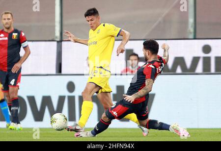 LaPresse - Tano Pecoraro 02 August 2020 Stadt Genua - (Italien) Sport Fußball Genua vs Hellas Verona Italienische Fußball-Meisterschaft Liga A Tim 2019/2020 - "Luigi Ferraris" Stadion auf dem Bild: matteo pessina - sanabria toni Stockfoto