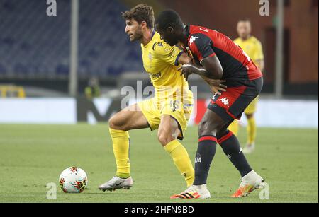 LaPresse - Tano Pecoraro 02 August 2020 Stadt Genua - (Italien) Sport Fußball Genua vs Hellas Verona Italienische Fußball-Meisterschaft Liga A Tim 2019/2020 - "Luigi Ferraris" Stadion auf dem Bild: borini fabio - cristian zapata Stockfoto