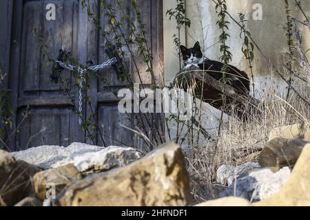 Cecilia Fabiano/LaPresse August 19 , 2020 Amatrice (Italien) Nachrichten: Amatrice&#X2019;s Erdbeben : Amatrice und das Land herum in der pic : Collalto Kirche Stockfoto