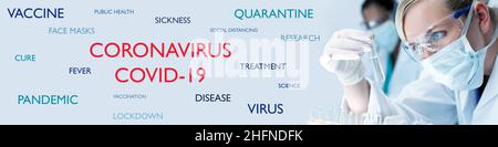 Panorama Frau medizinische oder wissenschaftliche Forscherin oder Ärztin mit Gesichtsmaske und Blick auf ein Reagenzglas in einem Labor mit ihrem asiatischen Kollegen o Stockfoto