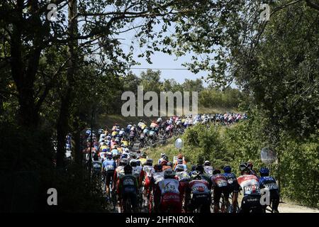 LaPresse - Marco Alpozzi September, 12 2020 Castelfidardo (Italien) Sport Radfahren Tirreno Adriatico Ausgabe 55 - von Castelfidardo nach Senigallia - 171 km im Bild: Peloton Stockfoto